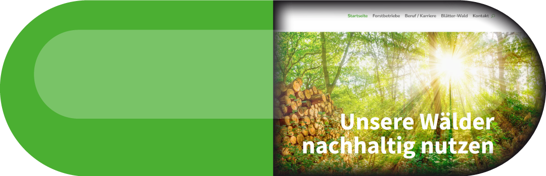 GL_Projekte_pille_privatwaldbetriebe